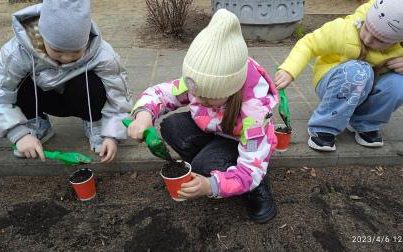 IMG_20230406_120656_1